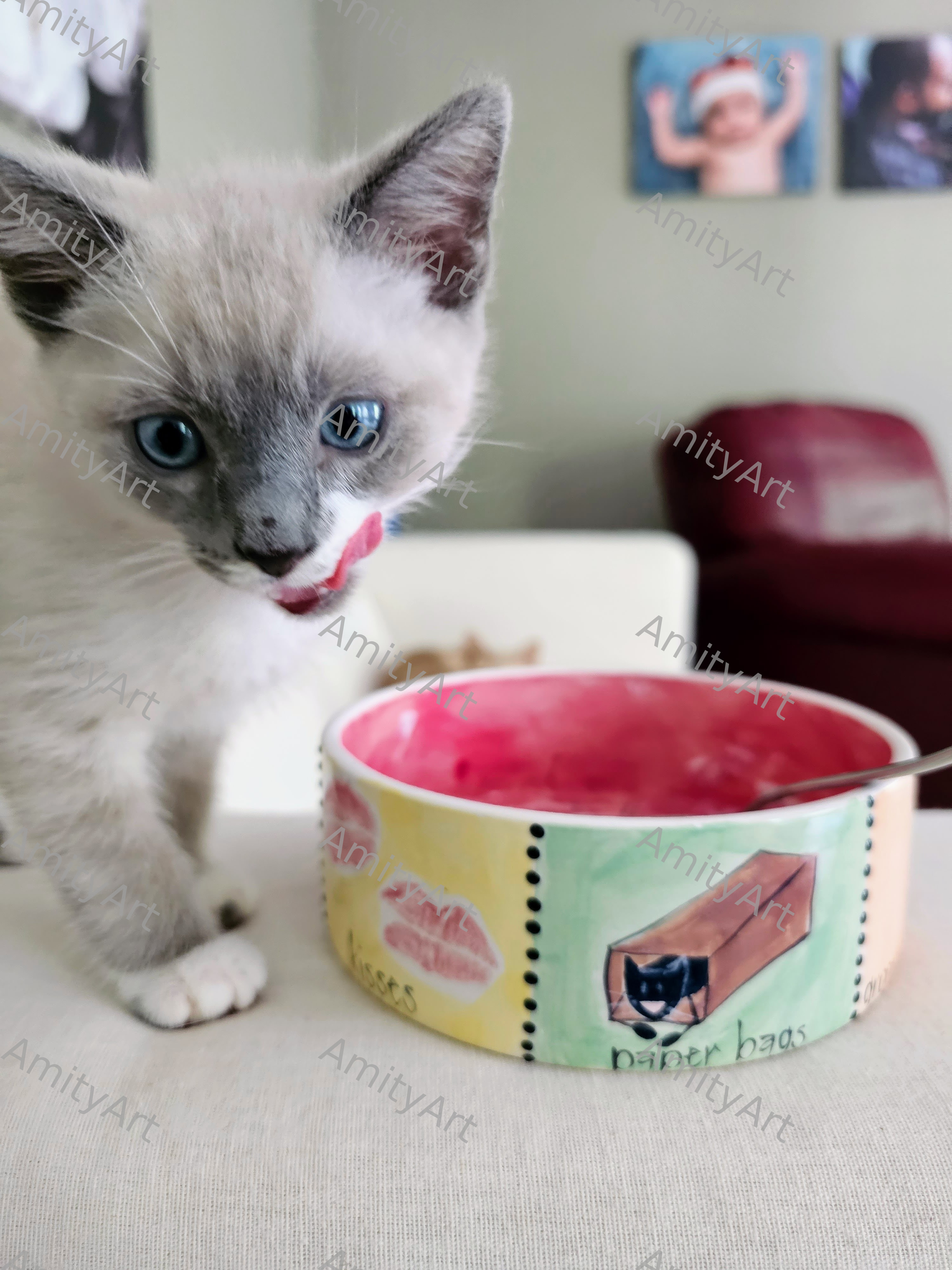 Cat Series