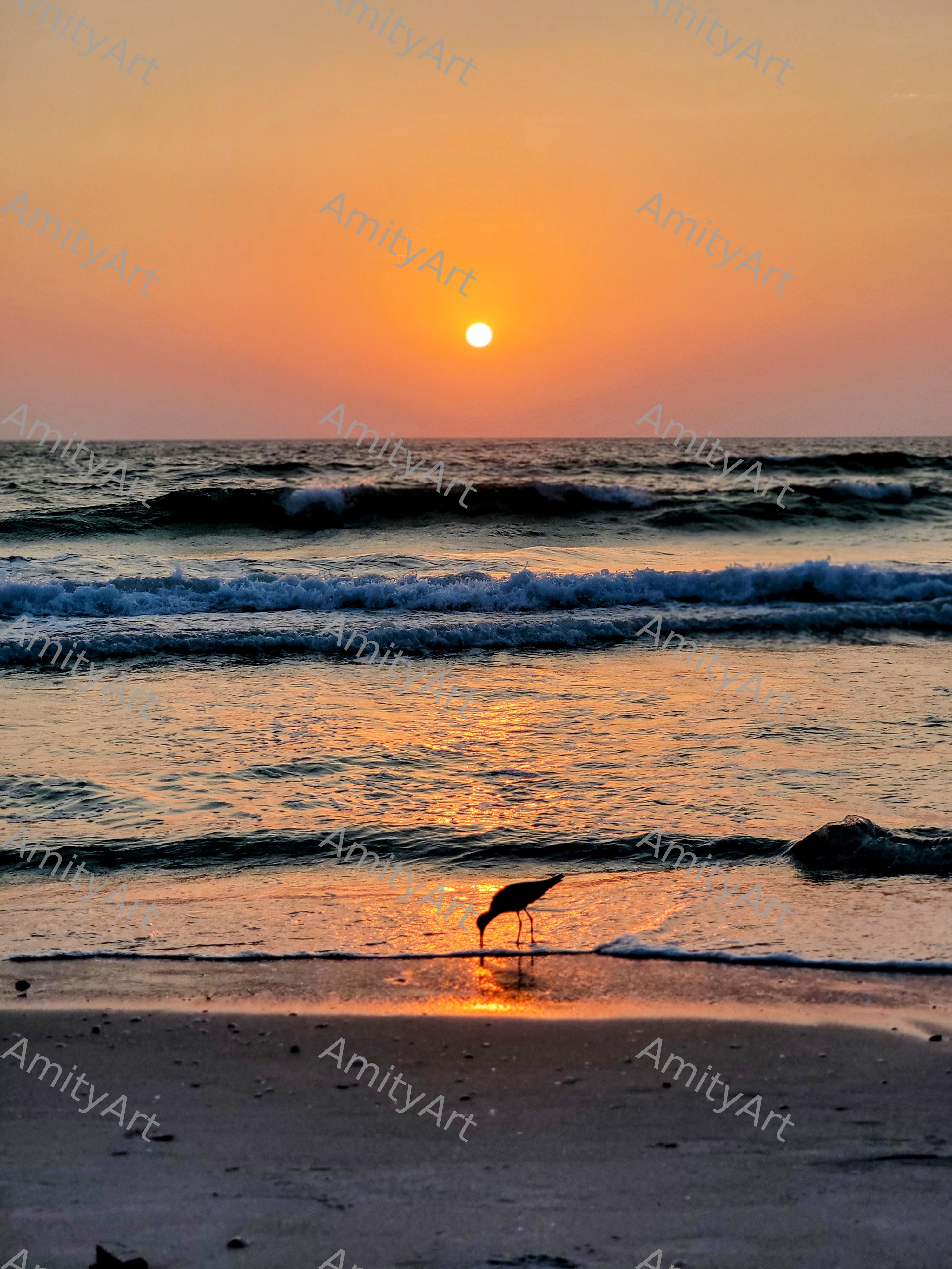 Sunset Series