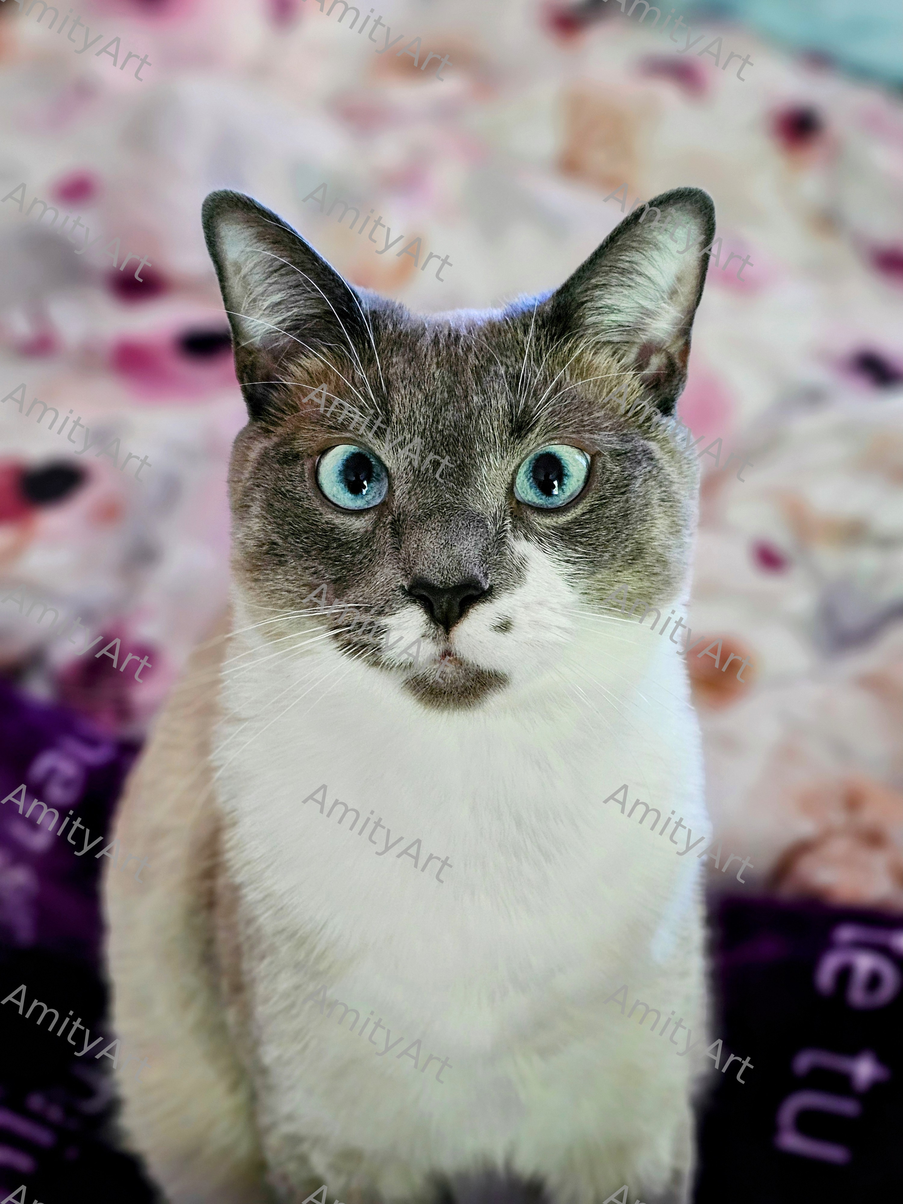 Cat Series