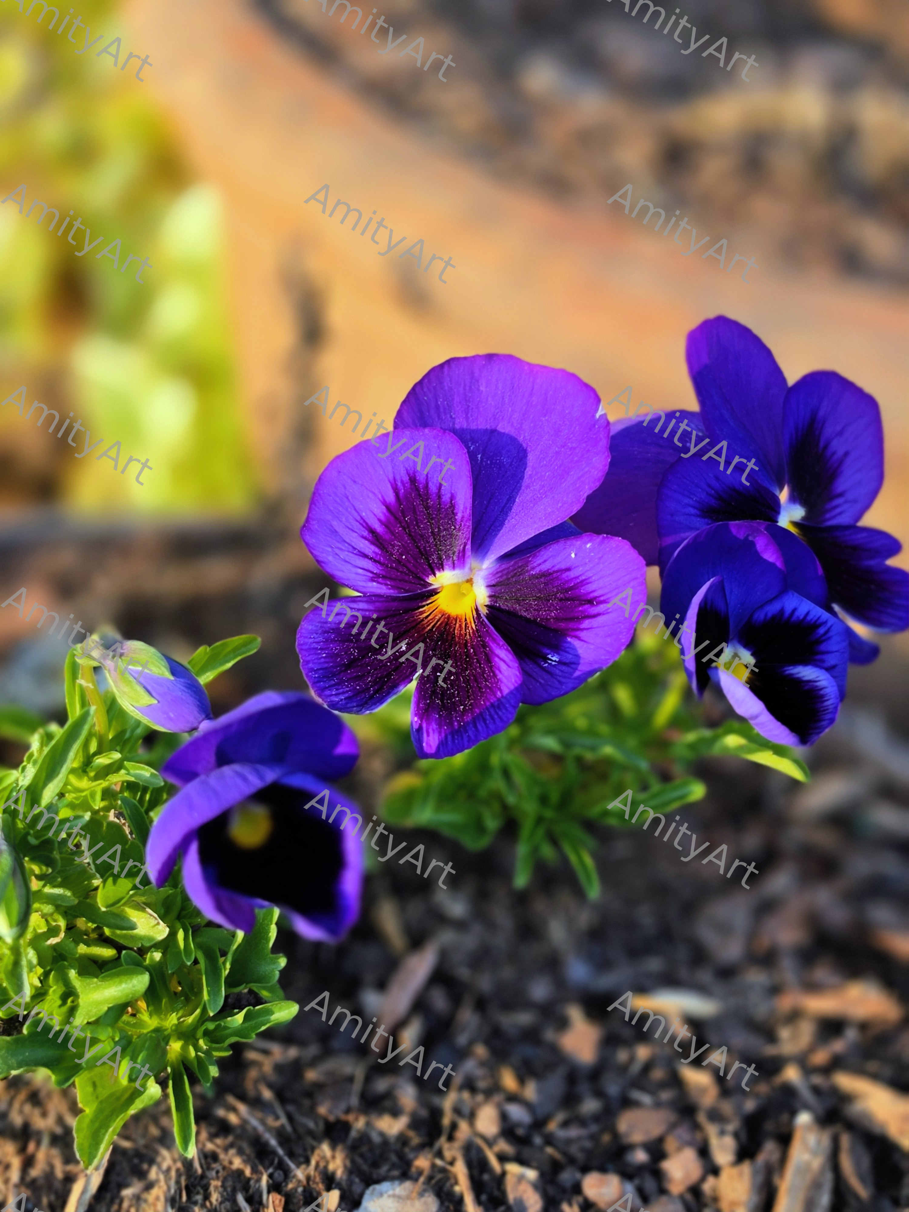 Flower Series