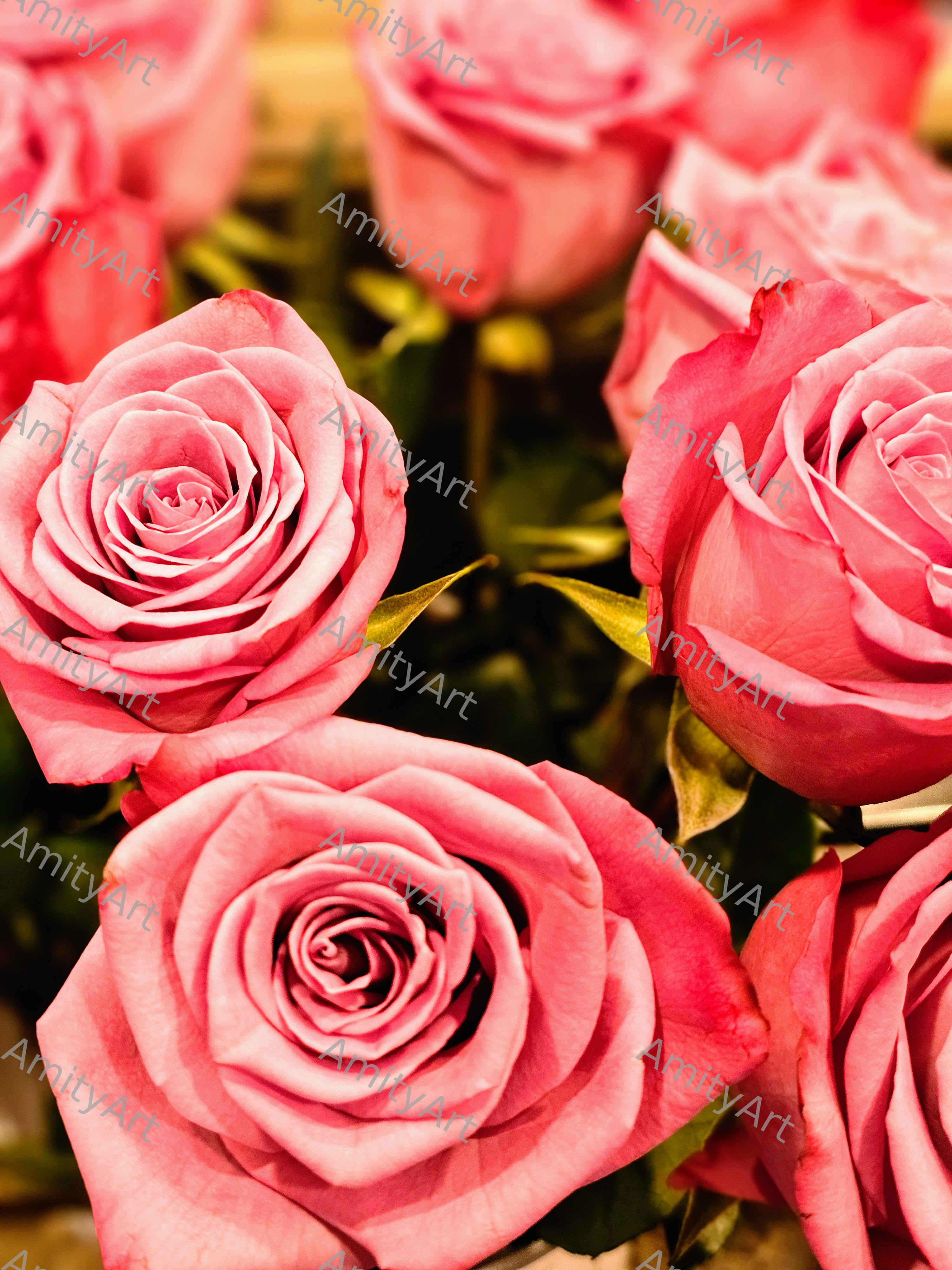 Flower Series