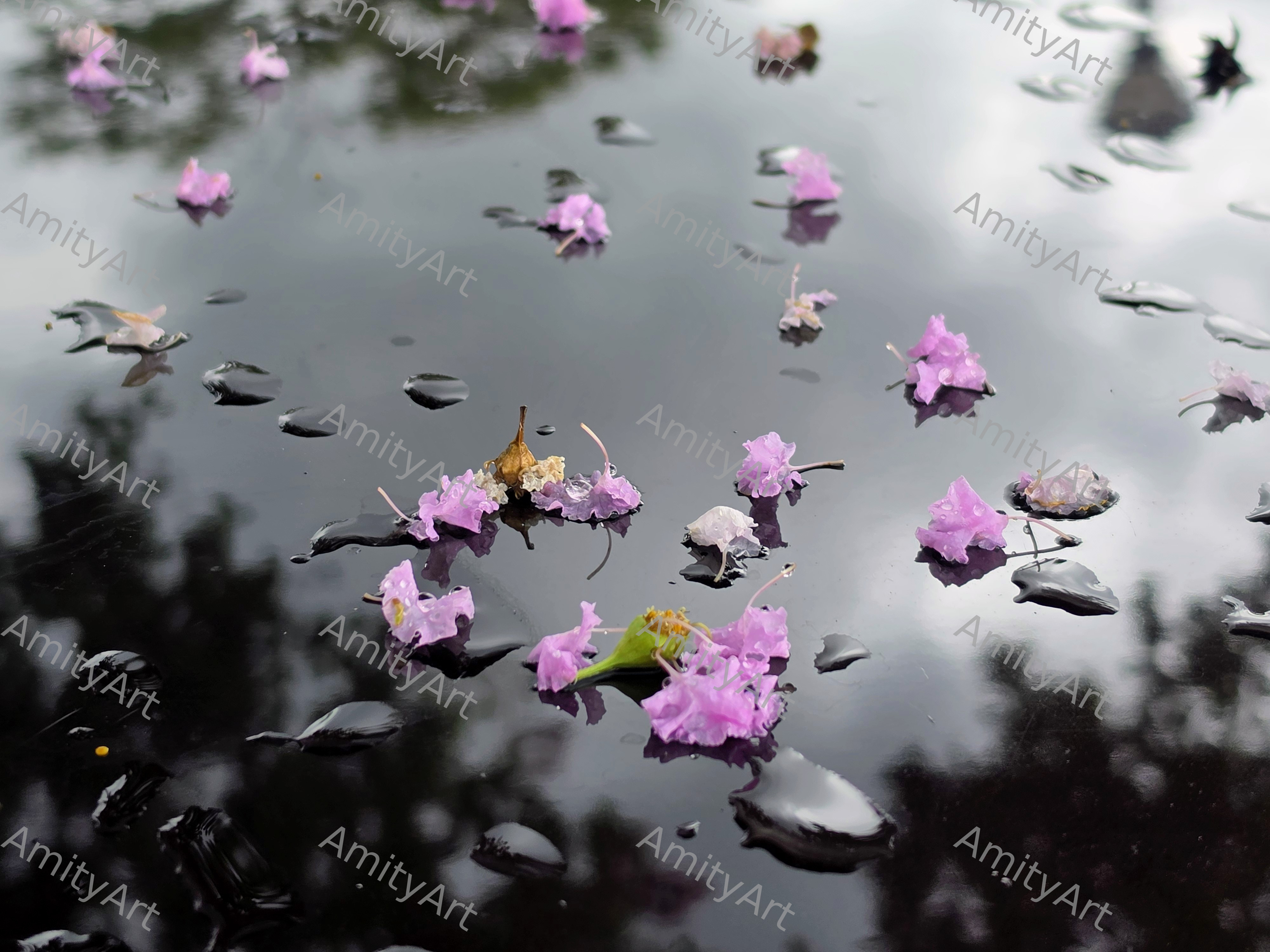 Flower Series