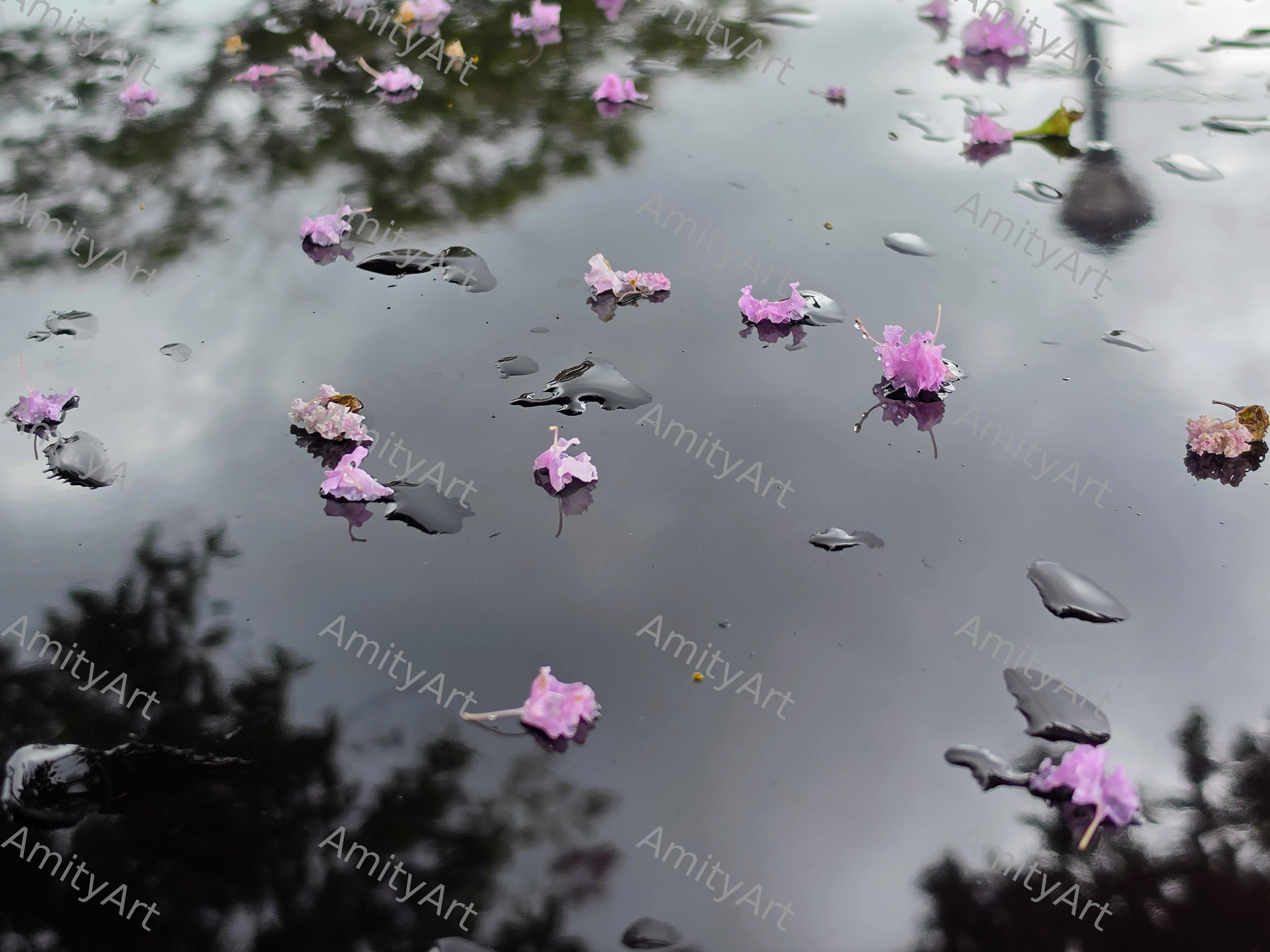Flower Series
